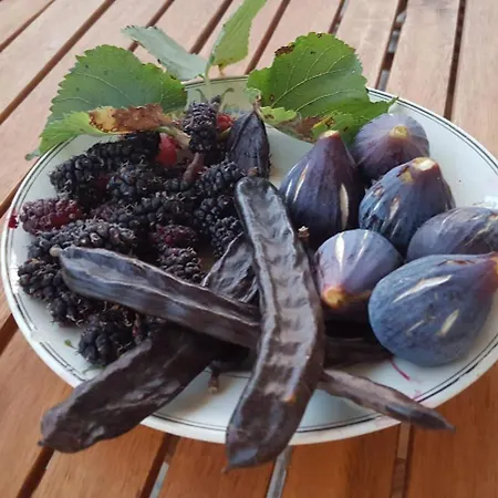 Casa Do Campo Prázdninový dům *