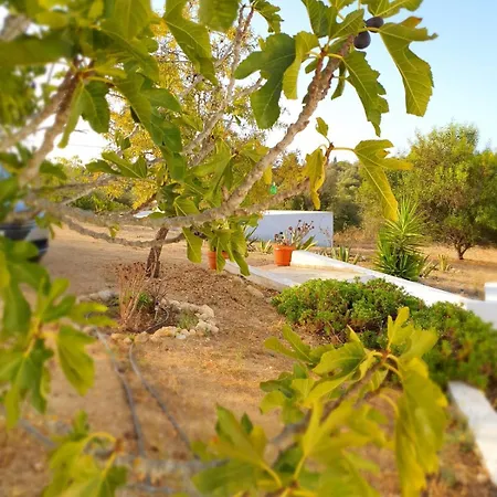 Casa Do Campo Nyaraló
