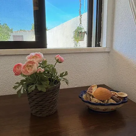 Casa Do Campo Carvoeiro (Lagoa)