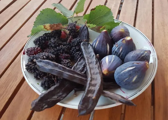 Casa Do Campo بيت للعطل *