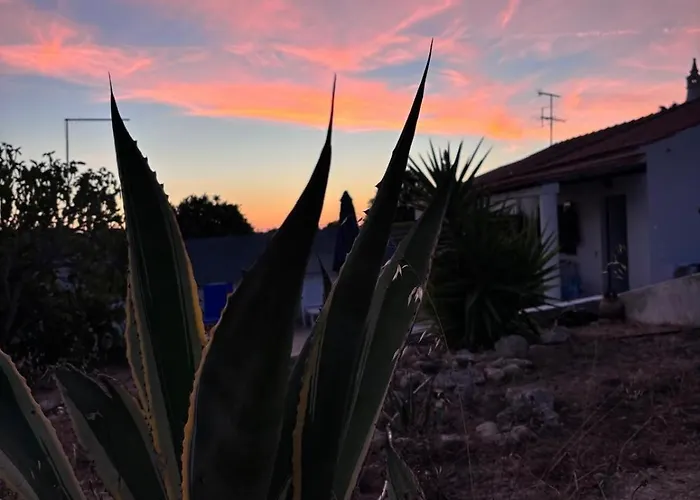 بيت للعطل Casa Do Campo