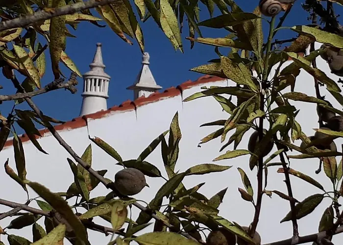 Casa Do Campo بيت للعطل *