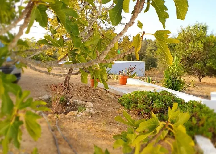 Casa Do Campo بيت للعطل