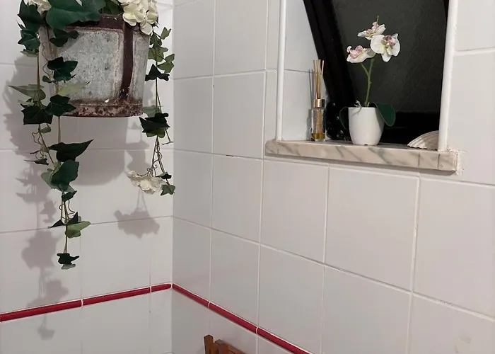 بيت للعطل Casa Do Campo